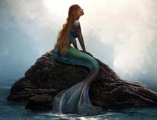 WOW LITTLE MERMAID, WARNING DO NOT GIVE UP YOUR VOICE!